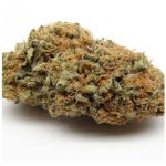 Шишки AK47 (Гидропоника, Бошка) VHQ в Новокубанске Шишки AK47 (Гидропоника, Бошка) VHQ в Новокубанске